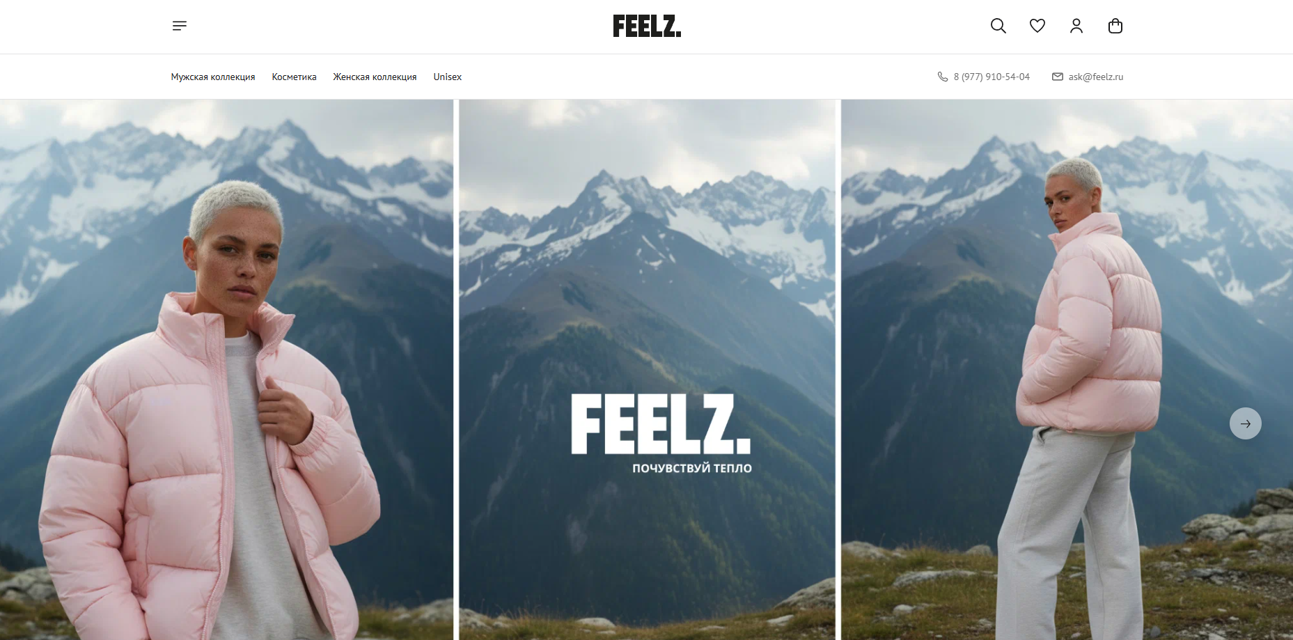 Главная страница интернет-магазина молодежной одежды  Feelz